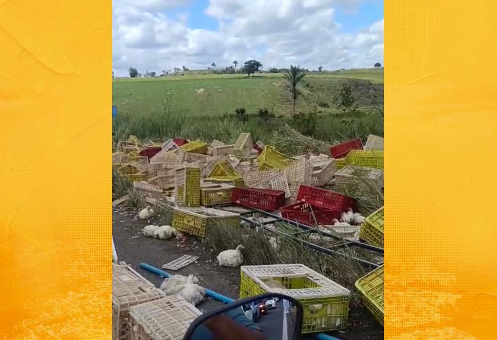 Caminhão carregado de frango tomba na BR-101, entre S. A. de Jesus e Dom Macedo Costa