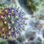 Entenda por que o risco do vírus Nipah é baixo e não ameaça o Brasil