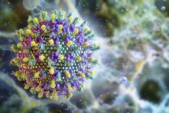 Entenda por que o risco do vírus Nipah é baixo e não ameaça o Brasil