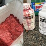 Goiás: Polícia apreende carne adulterada em fábrica de espetinhos