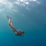 Mergulho em Salvador atrai turistas com naufrágios e vida marinha