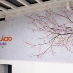 Palácio Ateliê Cursos chega a Salvador com proposta inovadora de aprendizado e conexão humana