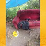 Polícia desarticula acampamento de grupo criminoso em área de mata em Rio de Contas