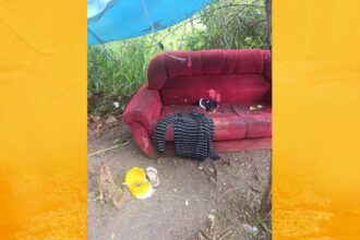 Polícia desarticula acampamento de grupo criminoso em área de mata em Rio de Contas