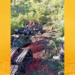 Caminhão carregado de acerola cai em ribanceira após tentativa de desvio na BR-101, em Conceição do Almeida