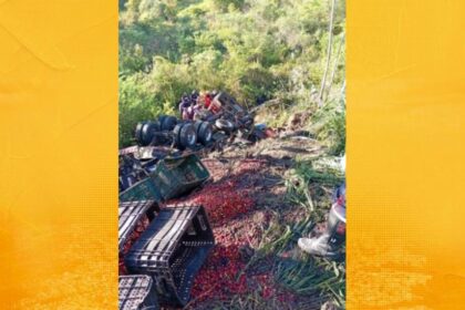 Caminhão carregado de acerola cai em ribanceira após tentativa de desvio na BR-101, em Conceição do Almeida