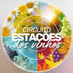 Circuito Estações dos Vinhos celebra rótulos nacionais em Salvador