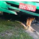 Motociclista morre em acidente com ônibus no bairro de Cajazeiras, em Salvador