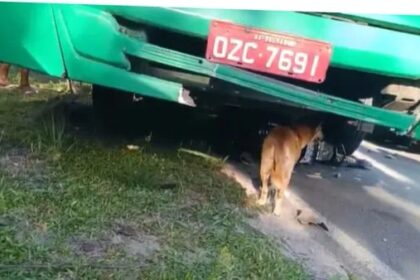 Motociclista morre em acidente com ônibus no bairro de Cajazeiras, em Salvador