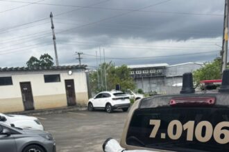 PM apreende 18 aves silvestres em Dias d’Ávila