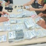 PM recupera 130 documentos perdidos no Carnaval; veja como recuperar