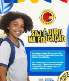 Santo Antônio de Jesus recebe Selo Ouro do Ministério da Educação pelo Compromisso Nacional Criança Alfabetizada – Prefeitura de Santo Antônio de Jesus - BA