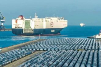 Veículos chineses superam os argentinos no Brasil: quais são os impactos além da economia?