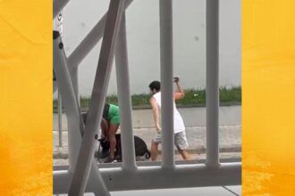 Vídeo: Mulher é agredida após briga entre cães em Santo Antônio de Jesus