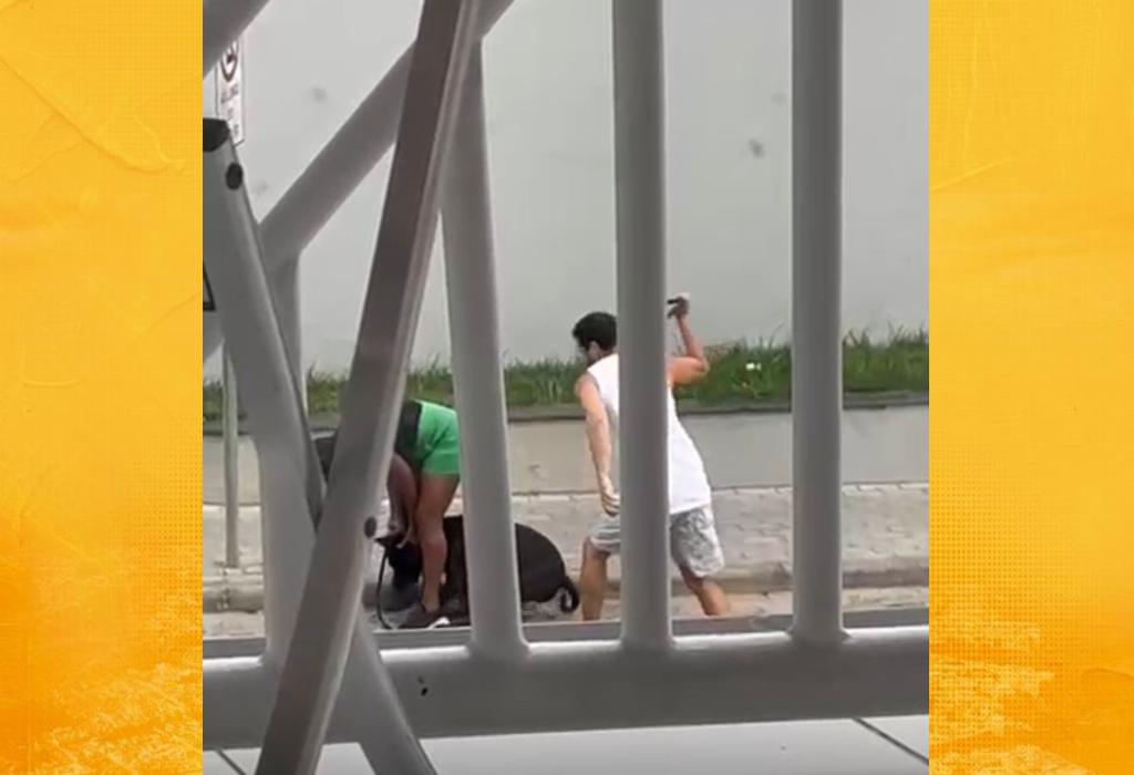 Vídeo: Mulher é agredida após briga entre cães em Santo Antônio de Jesus
