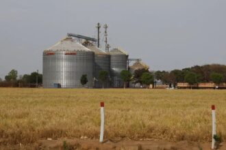 Brasil tem sexto maior crescimento no ranking das economias do G20