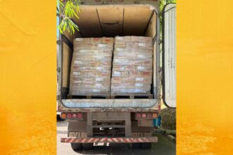 Caminhão com 25 toneladas de salsicha vencida é apreendido na BR-324, em Candeias