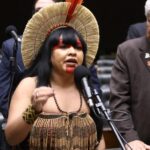 Discussão e votação de propostas legislativas. Dep. Célia Xakriabá (PSOL - MG)