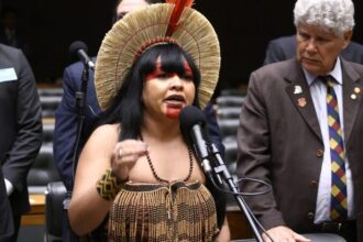 Discussão e votação de propostas legislativas. Dep. Célia Xakriabá (PSOL - MG)