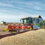 Estimativa de safra recorde de grãos