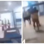Disparos de arma de fogo geram pânico no terminal do ferry boat em Bom Despacho