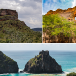 Embratur firma parceria para promover destinos brasileiros com o selo Bandeira Azul no exterior