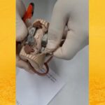 Mulher é presa ao tentar entrar com drogas escondidas em chinelo em presídio