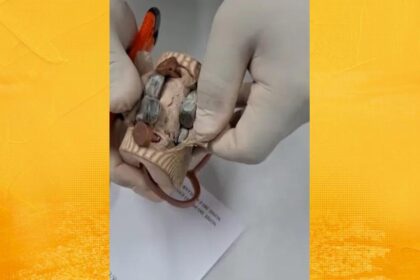 Mulher é presa ao tentar entrar com drogas escondidas em chinelo em presídio