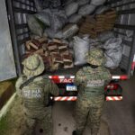 PM apreende 7,5 toneladas de carvão vegetal ilegal