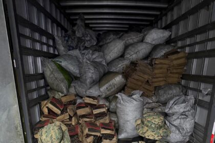 PM apreende 7,5 toneladas de carvão vegetal ilegal