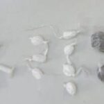 PM apreende drogas durante ação em Eunápolis | SSP