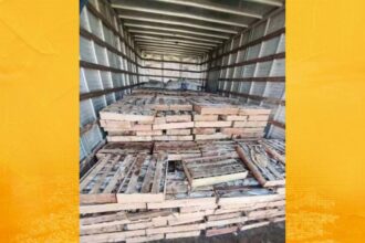 PRF apreende 9 toneladas de peixe transportadas de forma irregular na BR-116, em Milagres