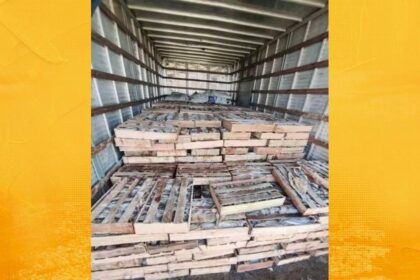 PRF apreende 9 toneladas de peixe transportadas de forma irregular na BR-116, em Milagres