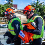 Política de proteção a animais resgatados em desastres agora é lei — Senado Notícias