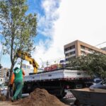 Salvador entra em rede global de cidades verdes