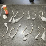 Suspeito é preso com drogas durante operação da PM na região de Muritiba