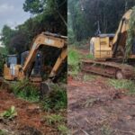 Alice Portugal denuncia suposta devastação ambiental na Avenida Paralela