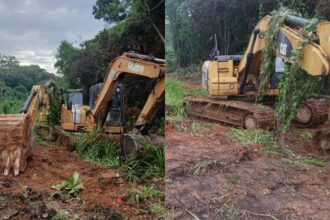 Alice Portugal denuncia suposta devastação ambiental na Avenida Paralela