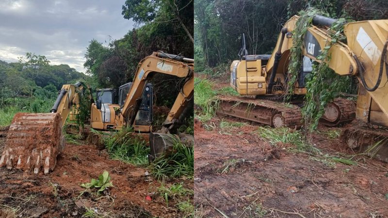 Alice Portugal denuncia suposta devastação ambiental na Avenida Paralela