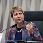 À mesa, em pronunciamento, presidente eventual da CI e requerente desta audiência, senadora Tereza Cristina (PP-MS).