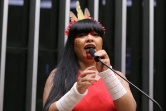 Discussão e votação de propostas legislativas. Dep. Célia Xakriabá (PSOL - MG)