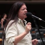 Discussão e votação de propostas legislativas. Dep. Laura Carneiro (PSD - RJ)