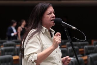 Discussão e votação de propostas legislativas. Dep. Laura Carneiro (PSD - RJ)