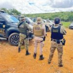 FICCO Bahia, PM e PF erradicam mais 125 mil pés de maconha e completam 4 roças desmontadas em uma semana | SSP