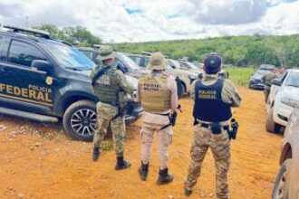 FICCO Bahia, PM e PF erradicam mais 125 mil pés de maconha e completam 4 roças desmontadas em uma semana | SSP
