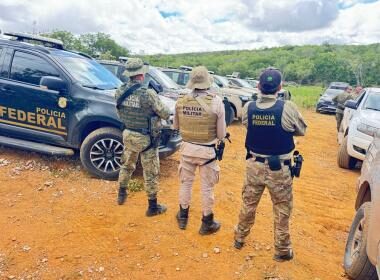 FICCO Bahia, PM e PF erradicam mais 125 mil pés de maconha e completam 4 roças desmontadas em uma semana | SSP