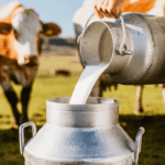 Governo do Brasil anuncia investimentos para a cadeia leiteira da agricultura familiar e desapropria novas áreas para a reforma agrária