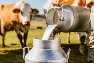 Governo do Brasil anuncia investimentos para a cadeia leiteira da agricultura familiar e desapropria novas áreas para a reforma agrária