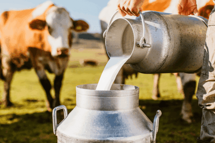 Governo do Brasil anuncia investimentos para a cadeia leiteira da agricultura familiar e desapropria novas áreas para a reforma agrária