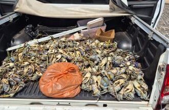 PM realiza apreensão de animais silvestres durante operação de defeso em Valença | SSP